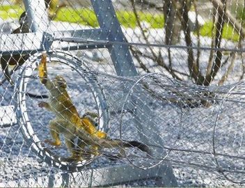 飼鳥園の網の鳥の網のための316のフェルールのタイプ ワイヤー ケーブル ロープのステンレス鋼の動物園の網